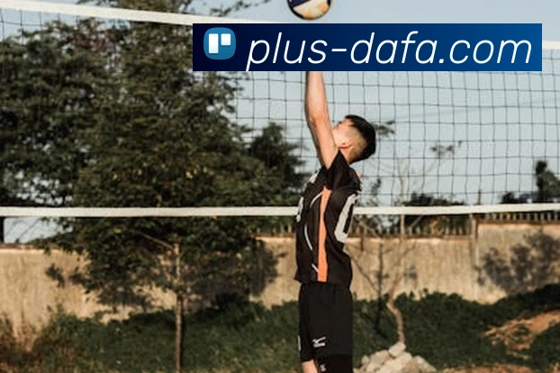 App Interface Preview