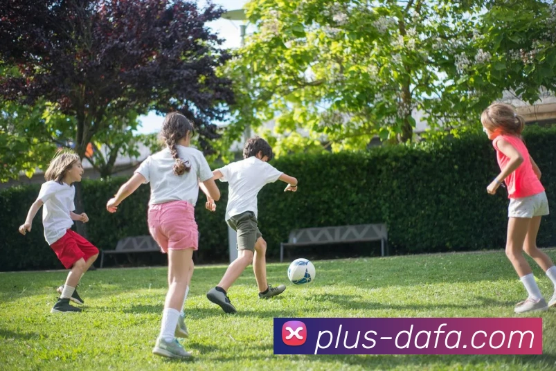 大发彩票APP 封面图